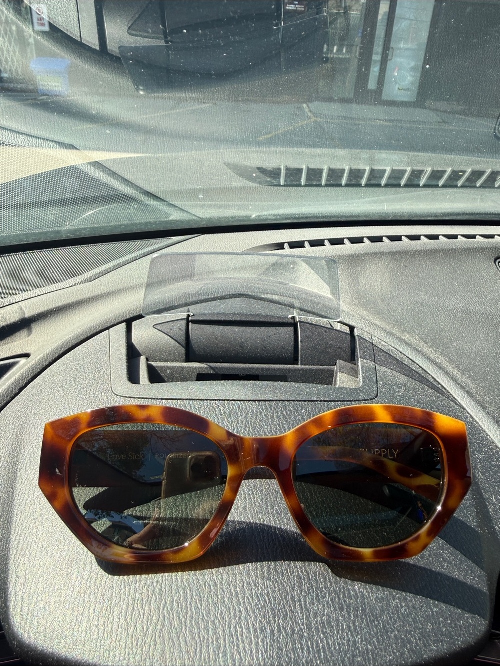 Z Supply Tortoiseshell Polarized Cat-Eye Sunglasses